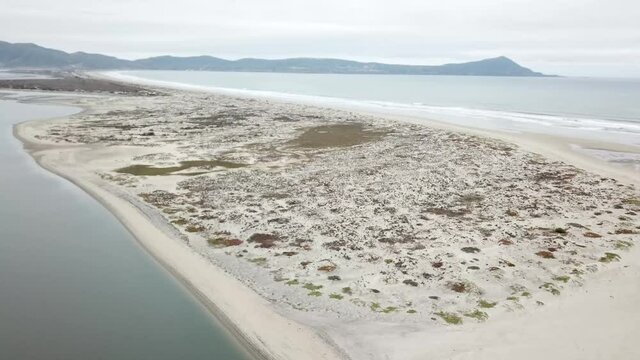 Aerial view of Ensenada estuary (estero)