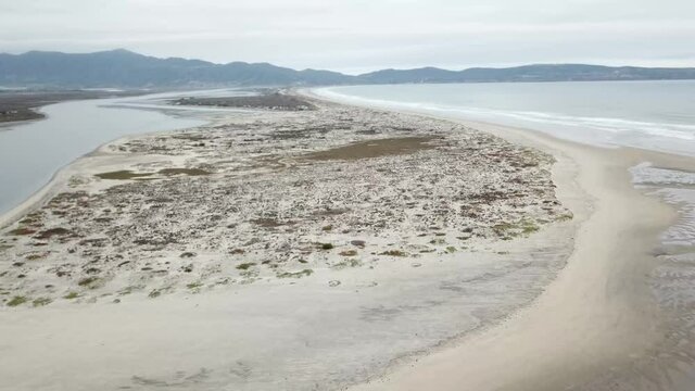 Aerial view of Ensenada estuary (estero)