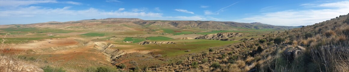 Fototapeta premium Wonderful view of farmland in spring, Tiaret, Algeria