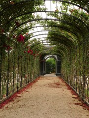 Tunnel in the park, Vienne