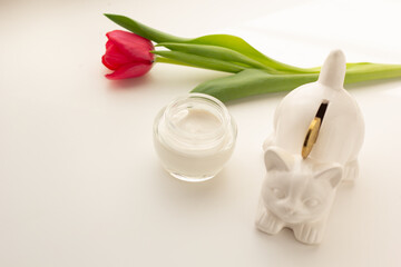 Closeup of a cat-shaped penny bank and facial moisturiser. Concept of affordable skin care.