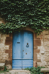 Fototapeta na wymiar old wooden door with ivy