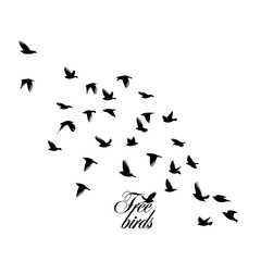 A large flock of flying birds. Free birds. Vector illustration