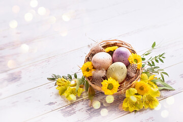 Easter greetings. Multi-colored eggs in a nest, yellow flowers and bokeh 