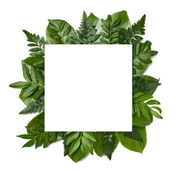 leaf flower greeting card note paper frame background flat lay floral layout invitation nature...
