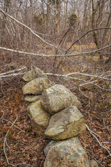 USA, Massachusetts, Cape Ann, Gloucester. Dogtown Commons, forest around the ruins of the oldest...