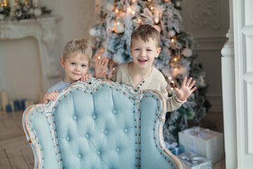 Two little brothers are playing and laughing near the Christmas tree . Family New Year