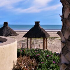 thatched roofs at the beach