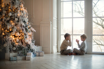 Two little brothers are playing and laughing near the Christmas tree . Family New Year