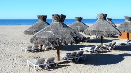 lounge chairs on the beach