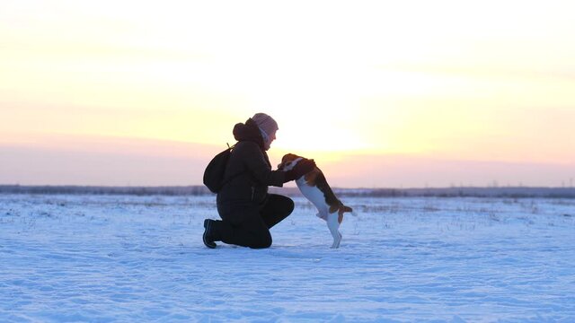 Woman show hand and sit down against dog. Smart beagle touch her arm with paws, give five to owner. Winter season, field covered with snow, bright sunset sky on background
