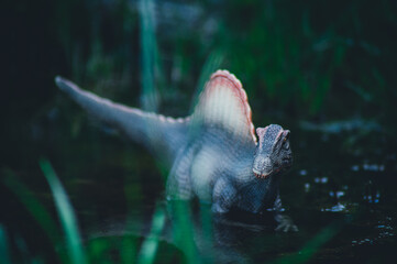 Espinosaurio, el mayor depredador de la prehistoria.  © J.M. Tornero