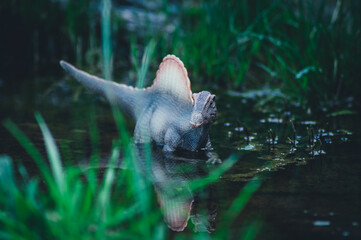 Espinosaurio, el mayor depredador de la prehistoria.  © J.M. Tornero