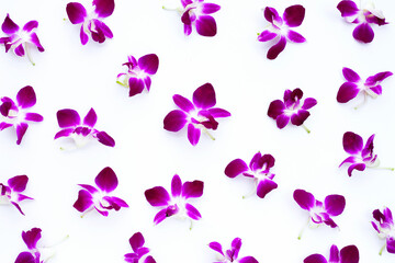 Obraz na płótnie Canvas Beautiful purple orchid flowers on white