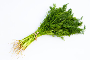 Fresh green dill on white.
