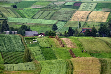 Patchwork © piotrwolak