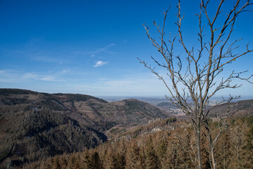 Harz Mountains in Germany