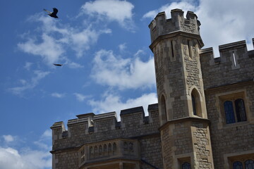 the tower of the castle