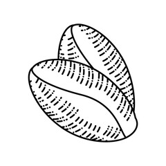 coffee grains sketch