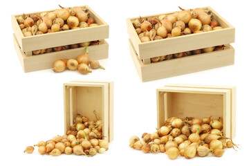 brown onions in a wooden crate on a white background