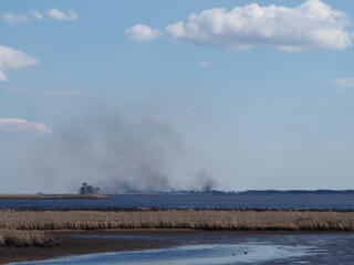 Fototapeta na wymiar planned wildfires in Chesapeake Bay