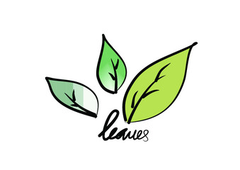 Leaves logo illustration concept