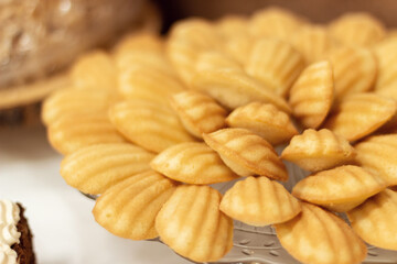 Delicious and beautifully served pastries close-up. Cookies on a plate. Beautiful sweet snacks