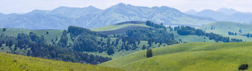 Panoramic view of the spring landscape, countryside. Green forests and meadows, blue sky with white clouds.