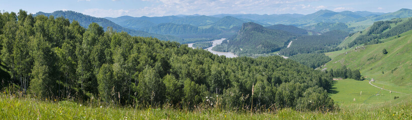 Panoramic view of the Katun river valley, Altai. Sunny day in early summer. Travel and vacation in the mountains.