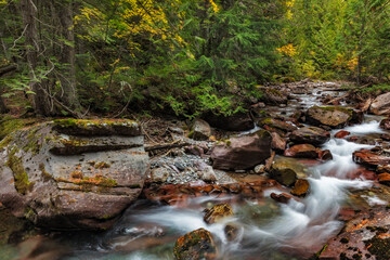 Avalanche Creek in Glacier National Park, Montana, USA