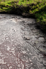Charco