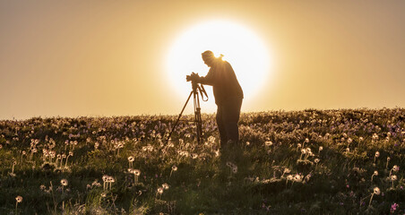 Photographer backlit by rising sun in field of wildflowers near East Glacier, Montana, USA