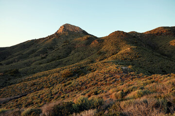 Paisaje mediterráneo