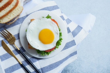 a plate of sandwich with egg