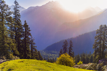 Scenic landscape of Himalayan range. These are the scenic meadows of the Parvati valley Himalayas....