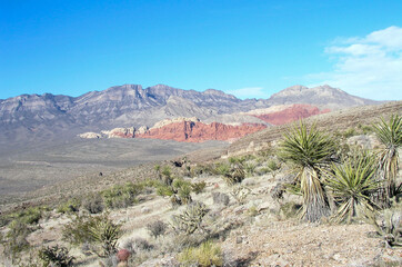 Red Rock NV Canyon and Desert View