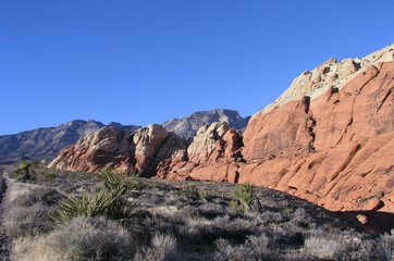 Fototapeta na wymiar Red Rock Curving Sandstone in the desert