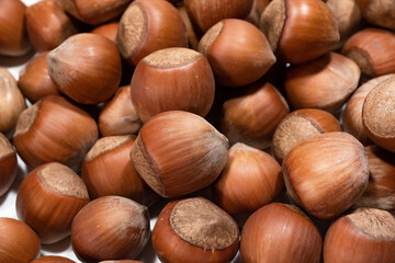 macro photo of natural hazelnuts on a white background