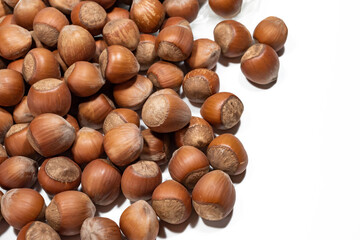 macro photo of natural hazelnuts on a white background in the left edge of the frame