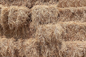 Rice straw is the remainder from the rice planting.It is considered a rough source of food for cattle and buffaloes during the dry season,used for crafts,as an alternative energy.Or decorate tourist 
