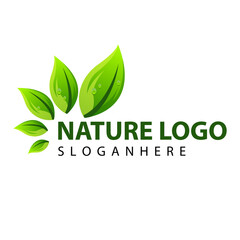 leaf nature logo concept