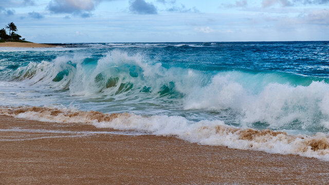Big wave coming to sandy beach on Hawaii. USA