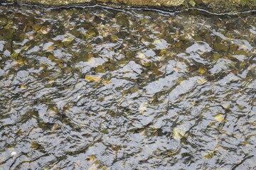 小川と川底の砂利