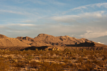 Fototapeta na wymiar USA, Nevada, Mesquite. Gold Butte National Monument, evening sunlight on Billy Goat Mountain.