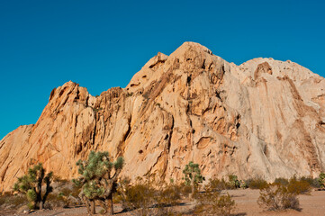 Fototapeta na wymiar USA, Nevada, Mesquite. Gold Butte National Monument, Whitney Pocket Rock outcroppings.