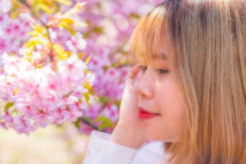 Fototapeta premium 河津桜と若い女性