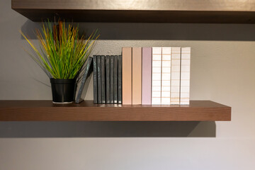 Books and decoration planting on wood shelf againt grey background.