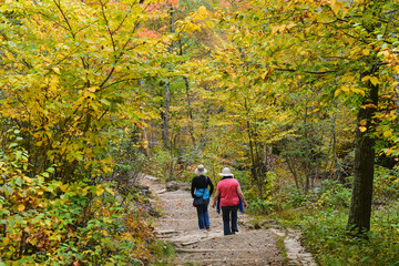 Obraz premium Hiking into an autumn forest or national Park