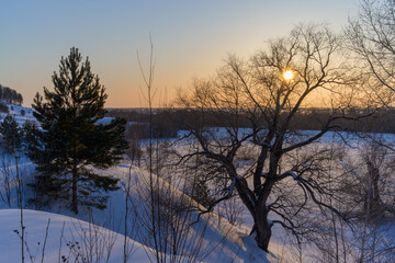 Sunset scene over the frozen Irtysh River (Siberia, Russia) on a frosty evening. On a steep snow-covered mountainous coast covered with vegetation. A beautiful tall tree. Yellow-blue evening sky 

