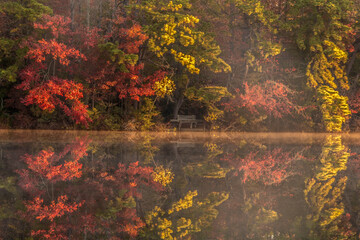 USA, New Jersey, Belleplain State Forest. Autumn tree reflections on lake.